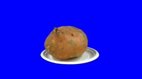 Rotating seamless looping batatas vegetable 1 Stock Footage 11304848