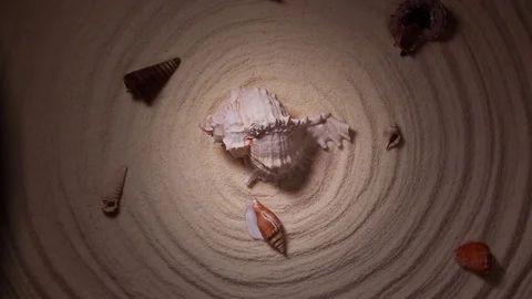 Rotating seashells on the sand Stock Footage 103508105