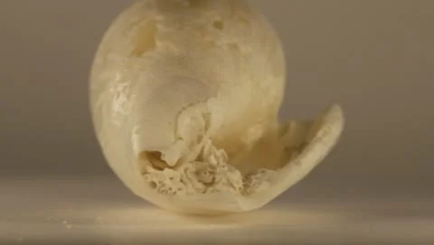 Rotating Shell Stock Footage 8925878