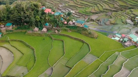 Rotating shot of the aerial of the Batad rice terraces Stock Footage 113344206