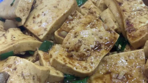 Rotating Shot of Braised Old Tofu with Scallions in Rich Soy Sauce Stock Footage 333723326