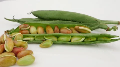 Rotating shot of green beans and seeds isolated over white surface Stock Footage 159638947