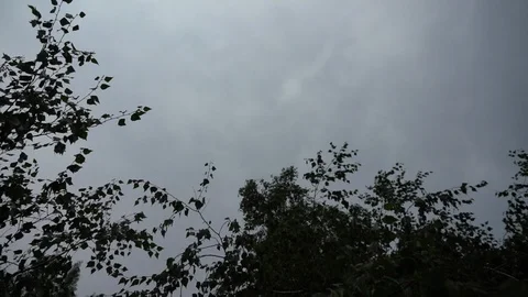 Rotating shot under a grey sky and woodland trees Stock Footage 94457122