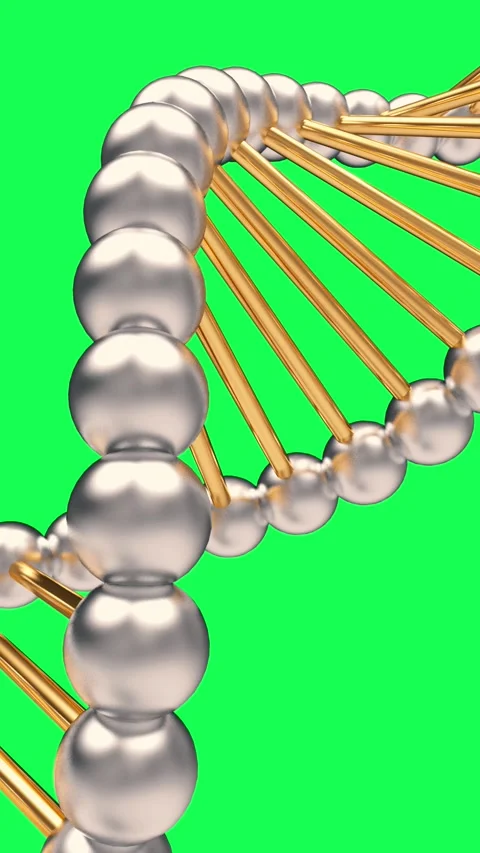 Rotating silver and gold DNA molecular helix on green screen, 3D animation Stock-Footage 337179217