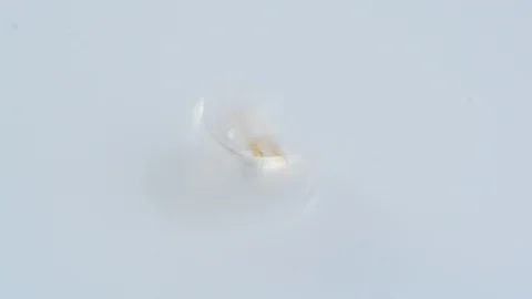 Rotating silver bitcoin BTC coin. Stock Footage 99548260