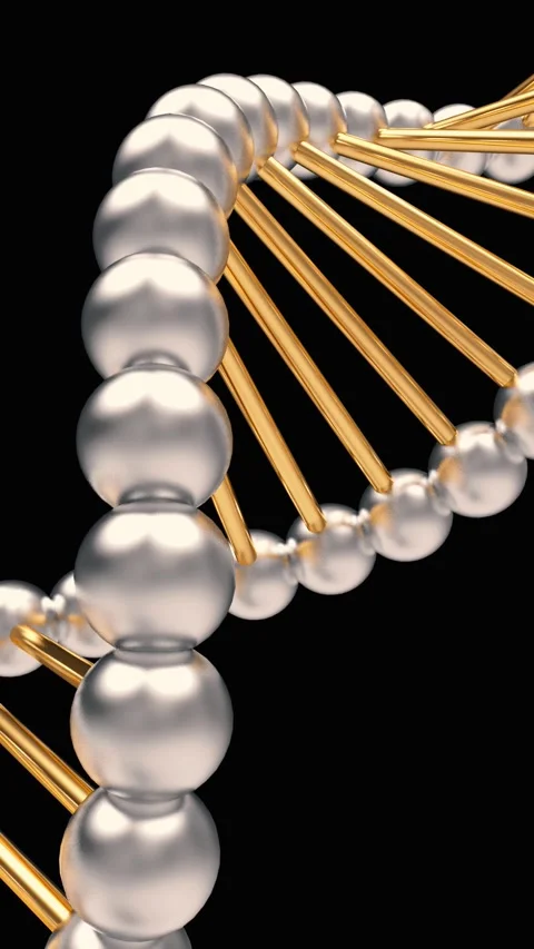 Rotating silver DNA helix on black, 3D rendering. Vídeos de archivo 335864770
