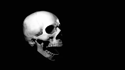 Black and White Scary Skeleton Skull Fla  Stock Video  Pond5