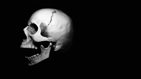 Rotating skull on black background, skeleton head for anatomy classes Stock Footage 126776913