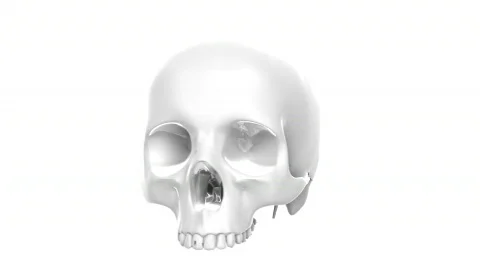 Rotating skull Stock Footage 840778