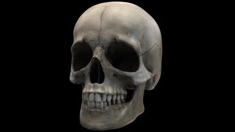 Rotating Skull Stock-Footage 122798513