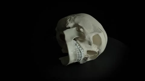 Rotating Skull Sideways Stock Footage 278089869