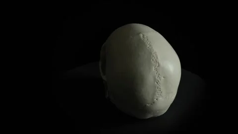 Rotating Skull v1 Stock Footage 278090533
