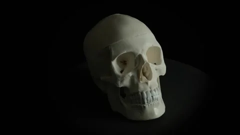 Rotating Skull v2 Stock Footage 278089870