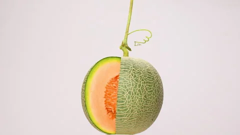 Rotating Sliced Green Netted Melon Orange Flesh On White Background 4K Stock Footage 323023457