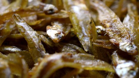 Rotating of small dried fish in dolly shot on white background Stock Footage 97379651