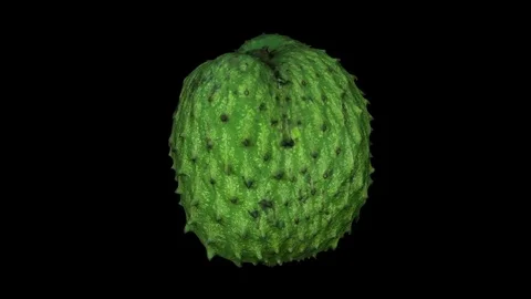 Rotating Soursop (Graviola) on Black Background Stock Footage 80595506