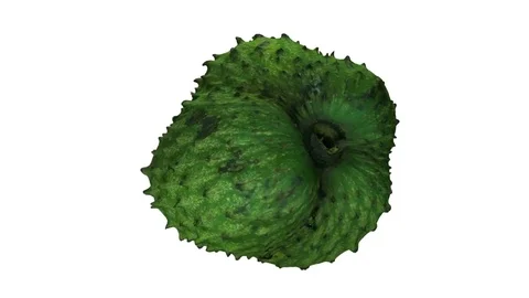 Rotating Soursop (Graviola) on White Background Stockbeeldmateriaal 80750149