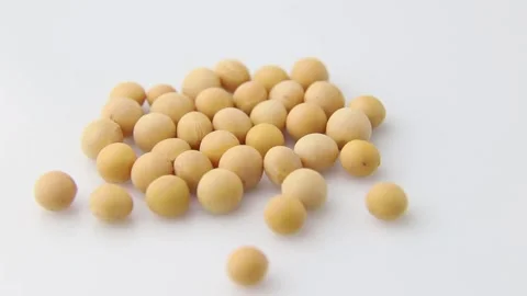 Rotating of soy seeds on white background. Side view. Stock Footage 136050684