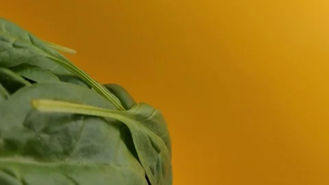 Rotating spinach leaves on a yellow background. Stock Footage 291175638