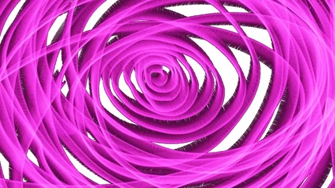 Rotating spiral. Abstract pink rose. Stock Footage 138567044
