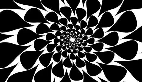 Rotating spiral symmetrical pattern. Abstract black silhouette Illustrazione stock