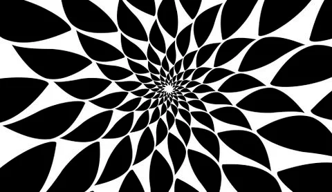 Rotating spiral symmetrical pattern. Abstract black silhouette 스톡 일러스트