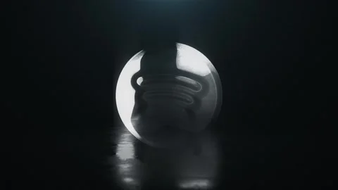 Rotating spotify icon Animation Stock Footage 319387153