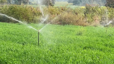 Rotating Sprinkler Distributing Water Over Crops Vídeo Stock 331084287