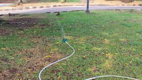A rotating sprinkler on the lawn. Stock Footage 341677263