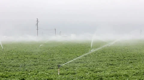 Rotating Sprinklers Video stock 23364648