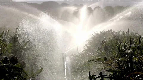 Rotating Sprinklers Video stock 23364800