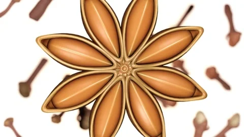 A rotating star anise and cloves on a white background. Stock Footage 314408422