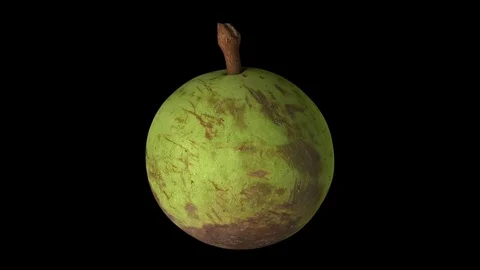 Rotating Star Apple on Black Background Stock Footage 80598369