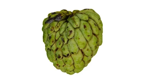 Rotating Sugar-Apple on White Background (Looping) Stock Footage 146621976