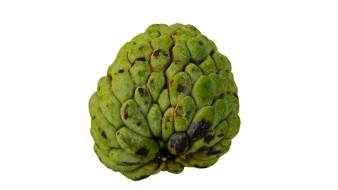 Rotating Sugar-Apple on White Background (Looping) Stock Footage 146622099