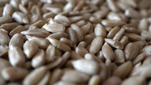 Rotating Sunflower Seeds Stock Footage 88149000