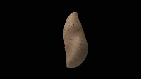 Rotating Sweet Potato Stock Footage 234848153