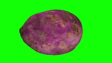 Rotating Sweet Potato on Green Background Stock Footage 80582591