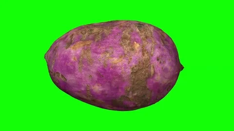 Rotating Sweet Potato on Green Background Stock Footage 80583211
