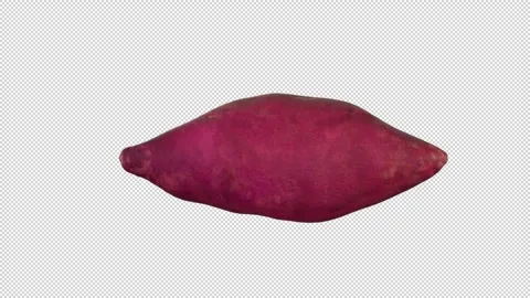 Rotating Sweet Potato Loop Stock-Footage 339369493