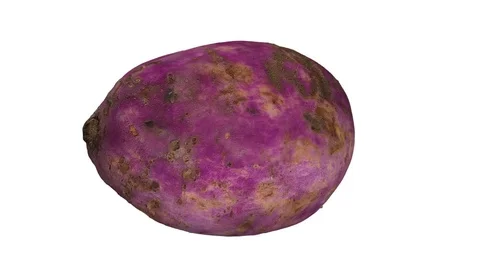 Rotating Sweet Potato on White Background Stock Footage 80582924