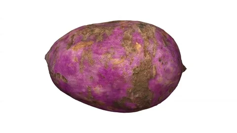 Rotating Sweet Potato on White Background Stock Footage 80583251
