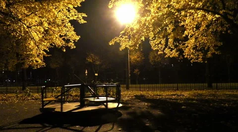 Rotating swing under the night lights with yellow leaves Stock Footage 68297181