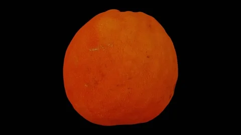 Rotating Tangerine on Black Background (Looping) Stock Footage 139897005