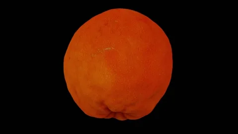 Rotating Tangerine on Black Background (Looping) Stock Footage 139897087