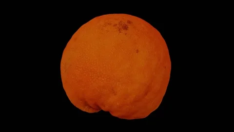 Rotating Tangerine on Black Background (Looping) Stock Footage 139897440