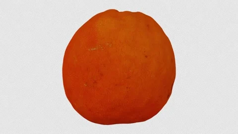 Rotating Tangerine on Transparent Background (Looping with Alpha Channel) Video stock 139845526