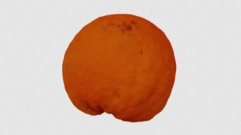 Rotating Tangerine on Transparent Background (Looping with Alpha Channel) Stock Footage 139854820