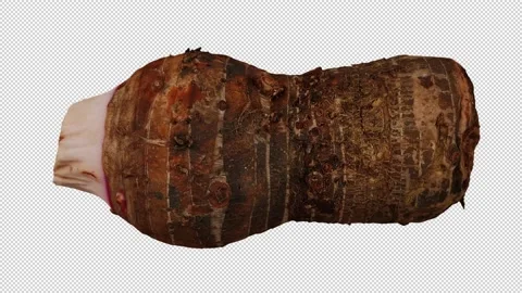 Rotating Taro Root on Transparent Background (Looping with Alpha Channel) Video stock 147956999