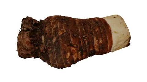 Rotating Taro Root White Background (Looping) Stock Footage 146716955